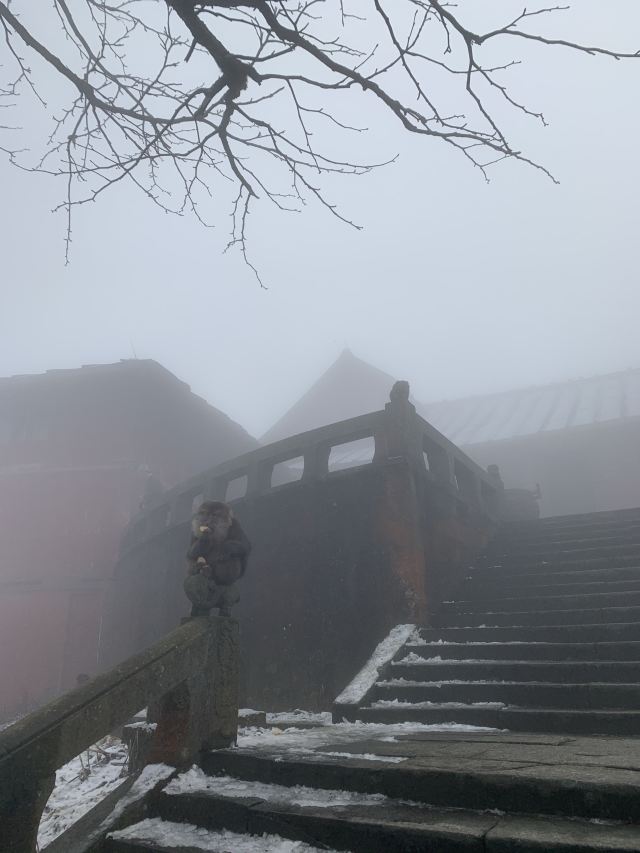 Emei Mountain