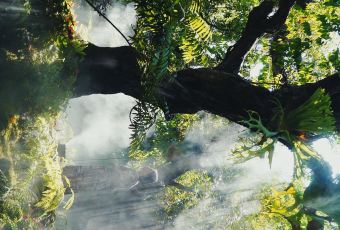 Chom Cafe and Restaurant User Photo