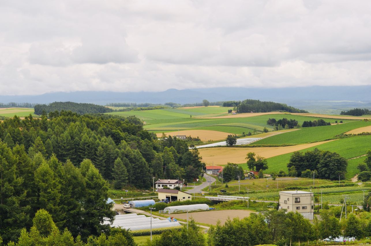 Patchwork Road (Biei)