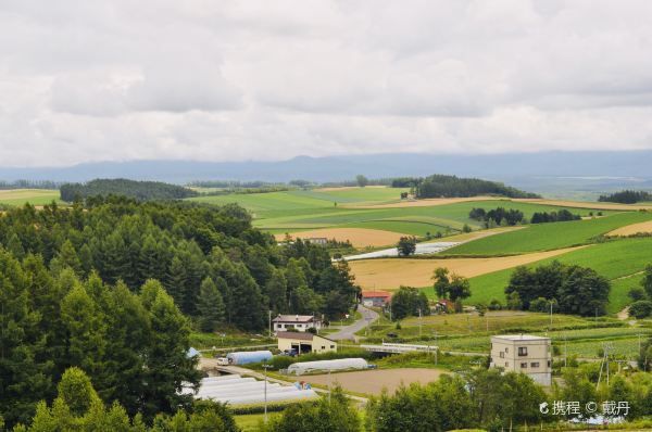 Patchwork Road (Biei)