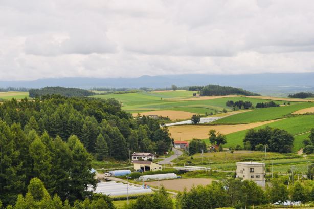 Patchwork Road (Biei)
