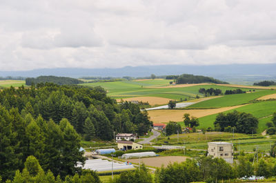 Patchwork Road
