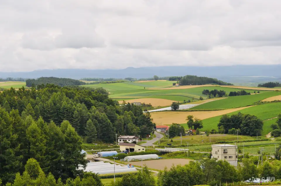 1_Patchwork Road (Biei)