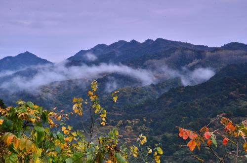 雲霧山景區