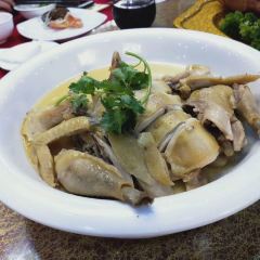 Amingxiaocai (beizhonglu) User Photo