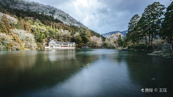 日本福岡-天宰府天滿宮+湯布院+九重夢大橋一日遊【包車遊】