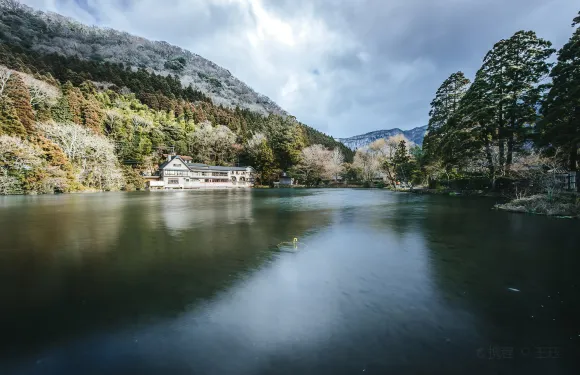 日本福岡-天宰府天滿宮+湯布院+九重夢大橋一日遊【包車遊】