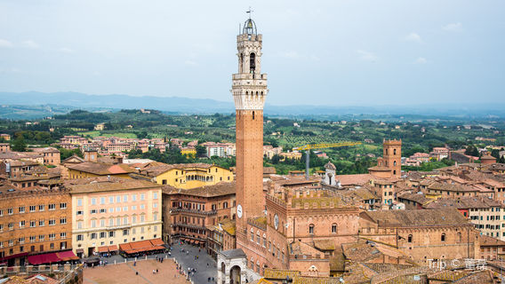 Piazza del Campo