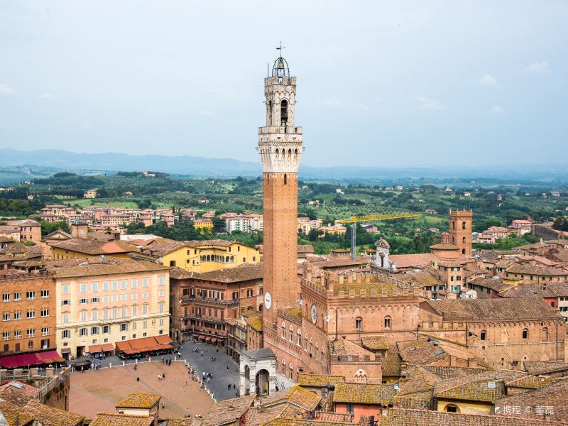 Piazza del Campo