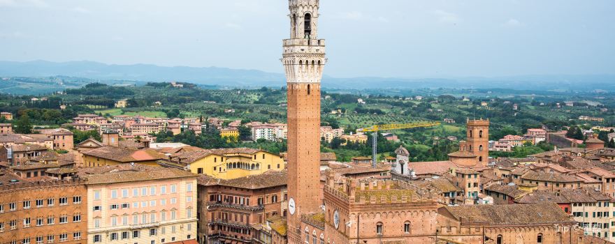 Piazza del Campo