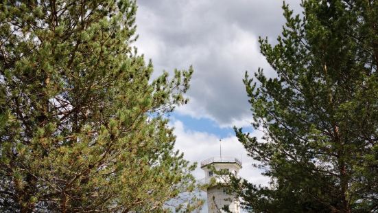 在漠河，去了沙洲，打卡北极点和神州北极，逛了邮局去了最北一家