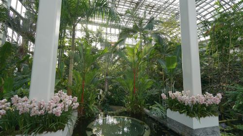 高知県立牧野植物園