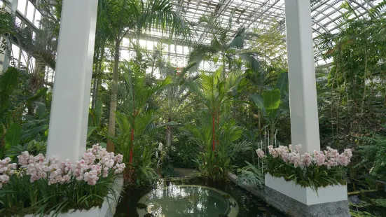 The Kochi Prefectural Makino Botanical Garden