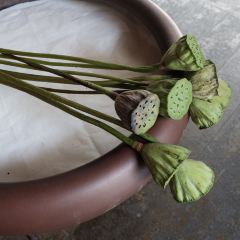 GUIYU RESTAURANT User Photo