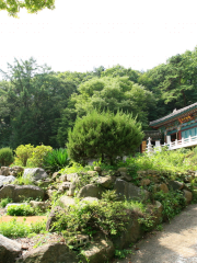 Taehaksan Natural Recreation Forest