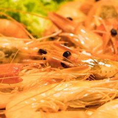 Palm Beach Seafood User Photo