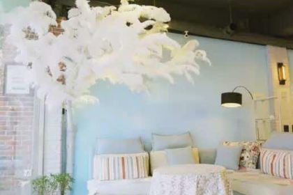 排排坐小清新火鍋