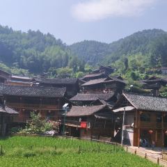 湖乡苗家乐 User Photo