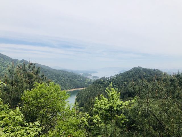 메이펑다오