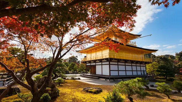 Kimono Experience in Kyoto: Best Rental Stores and Photo Spots