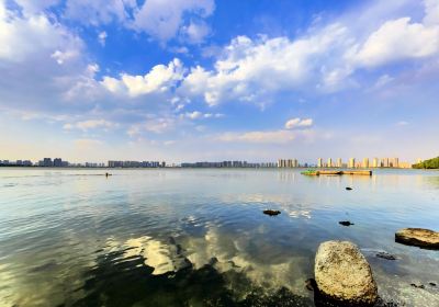 Jinyang Lake