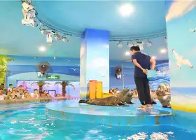 Jinyi City Aquarium