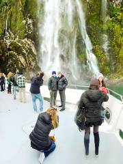 Milford Sound Scenic Cruises