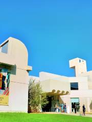 Joan Miro Foundation (Fundacio Joan Miro)
