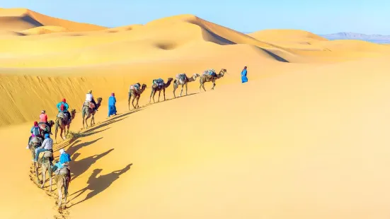 Desert Travel