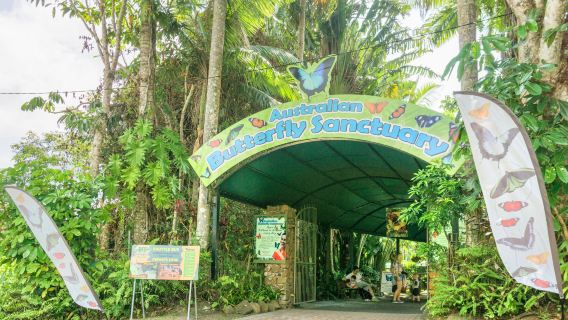 Australian Butterfly Sanctuary