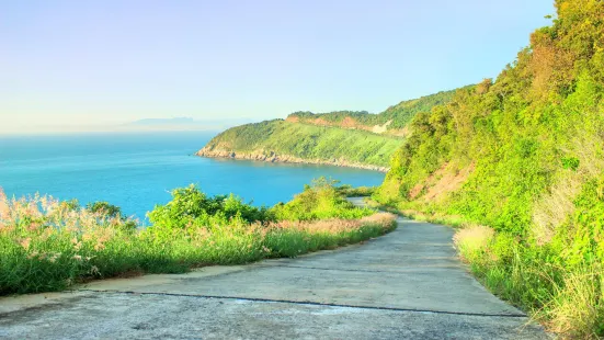 山茶半島