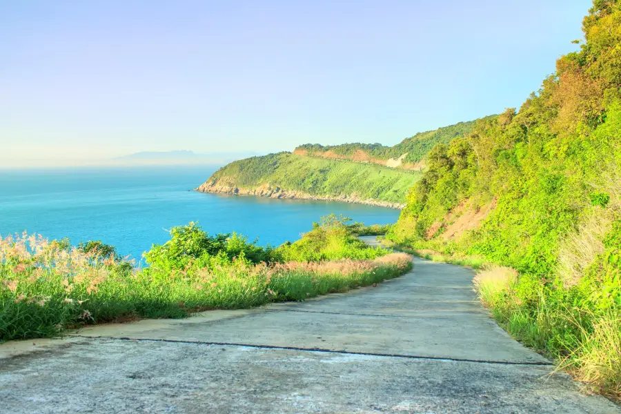 山茶半島