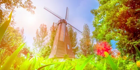 鄭州文博森林公園