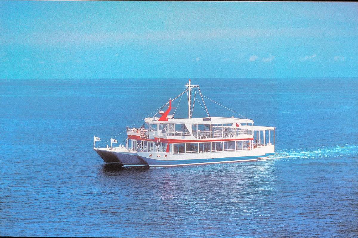 오키나와 혼자 여행, 웨스트 마린-언더워터 사이트씨잉 투어