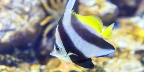 關島海底世界水族館