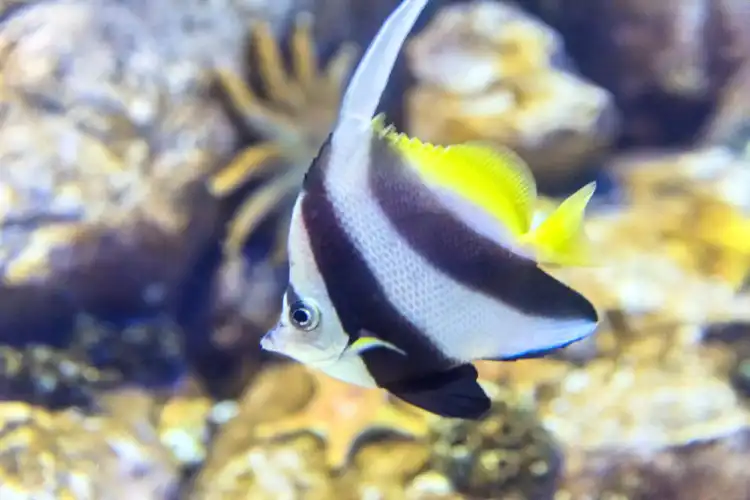 Hôtels à proximité de : Aquarium of Guam