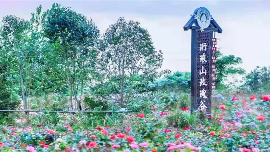 Hanglangshan Rose Valley