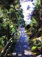 屋久杉森林樂園