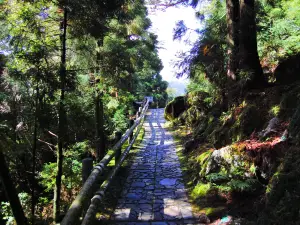 屋久杉森林樂園