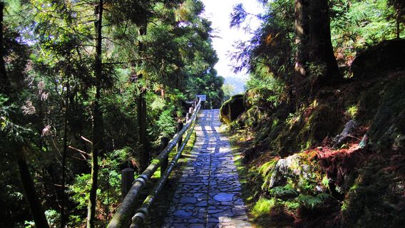 Yakushima
