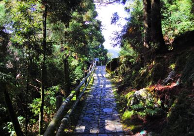 屋久杉森林樂園