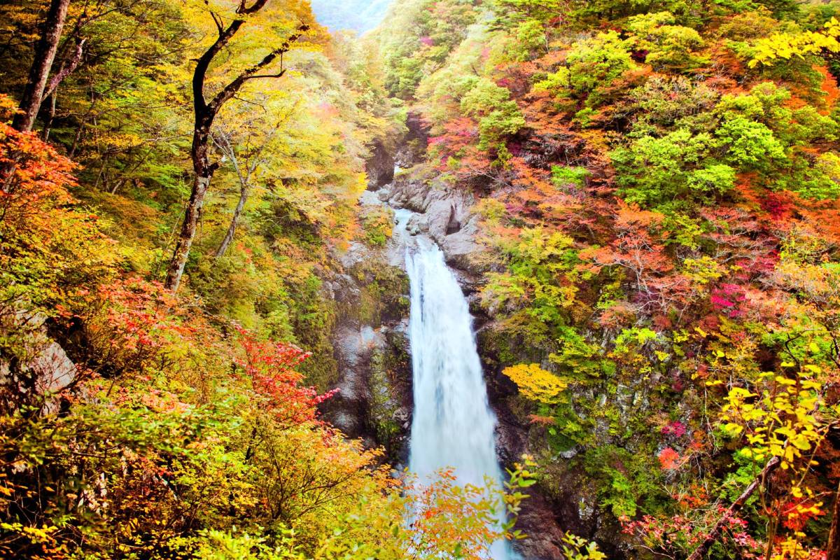 仙台紅葉 | 秋保大瀑布