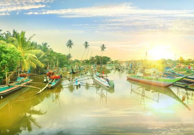 Negombo Lagoon