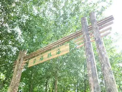 Xingfu Linhai