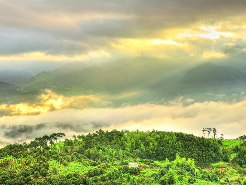 Tianmu Mountain