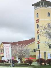 Zunyi Sakura Valley