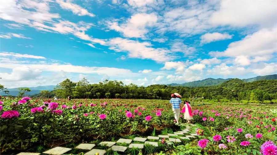 4_雲中花都