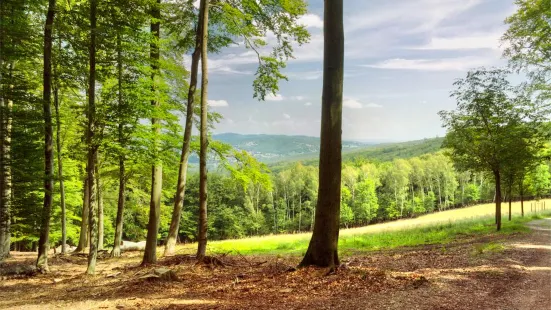 Lainzer Tiergarten