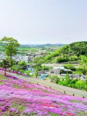 Shibazakura Takinoue Park