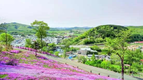 Shibazakura Takinoue Park